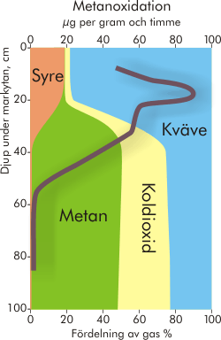 Metanoxidation på olika djup i ett metanoxidationsskikt